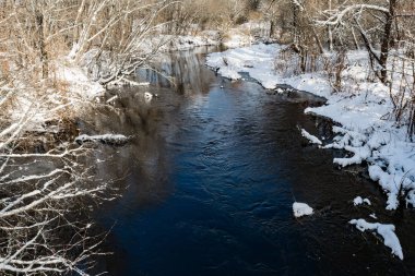mavi nehir buz ince bir saydam tabaka ile kaplıdır, bankalar ve ağaçlar üzerinde beyaz kar, bir kış manzarası var.