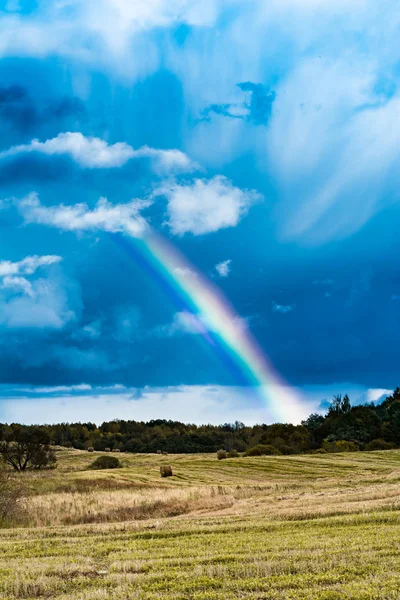 autumn landscape with cloudy weather, large rainy clouds over a chamfered yellow field, the rainbow is in the sky