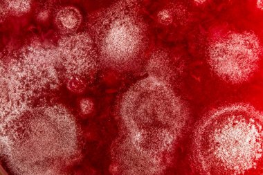 Organik olarak, arka plan küf gelişimi