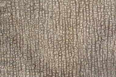 Eski bir kırık ruberoid kabartma dokusu bir kabuk bir ağaç ya da cilt, yakın çekim arka plan benzer