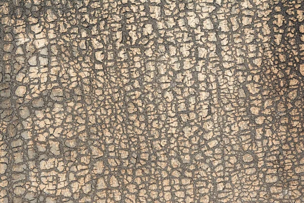 Textura do relevo de um ruberoid rachado velho assemelha-se a uma casca de um — Fotografia de Stock
