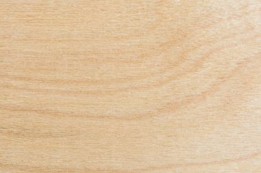 Huş kontrplak, arka plan ışık doku