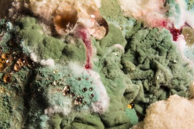 yoğun bozulmuş yemekler, arka plan üzerinde renkli küf oluşumu