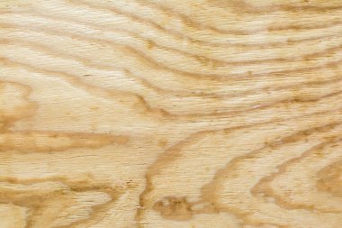 Huş kontrplak, arka plan ışık doku