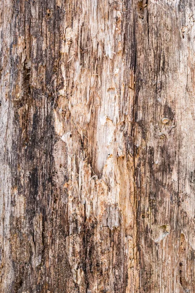 Текстура старої стратифікованої і гнилої деревини, абстрактний фон — стокове фото