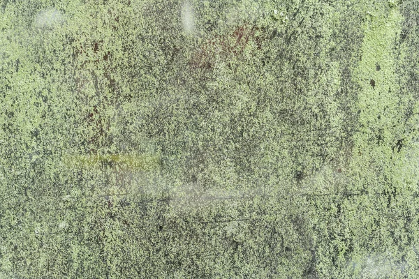 O molde verde no vidro, musgo cobre a superfície da parede, fundo abstrato — Fotografia de Stock