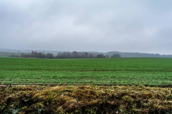 Landschaft im Nebel. Landschaft mit Baum und Nebel im Morgengrauen — Stockfoto