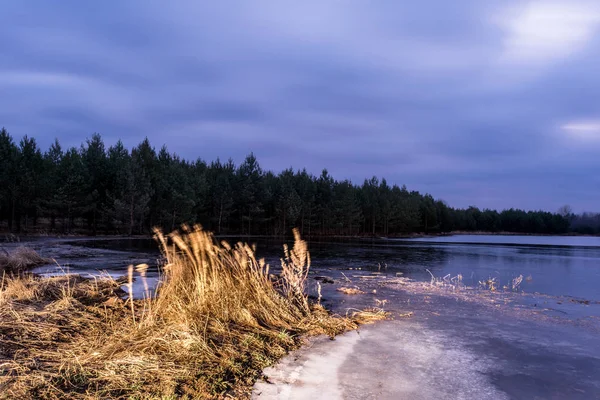 Lac forestier avec une banquise peu profonde. L'épinette pousse sur le rivage et il y a de l'herbe sèche. Scène nocturne du paysage d'automne — Photo