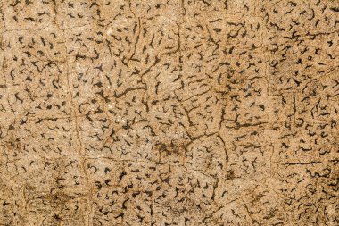 Kaotik desenli, mimari soyutlama arka planlı, eski antik çatlak duvar dokusu.