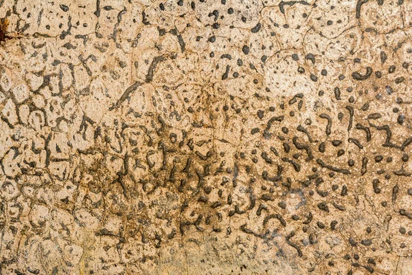 Texture of the old antique cracked wall with a chaotic pattern, architecture abstraction background — 스톡 사진