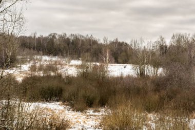Kırsal kış manzara kar ile kaplı. Avrupa kış manzarası.