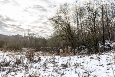 Ormanın yakınındaki çayırlık kışın ilk karla kaplıydı.