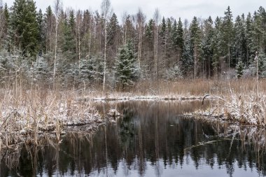 İlk Karlı Donmuş Orman Gölü, Bulutlu bir günde kış manzarası