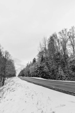 Asfalt yolun kenarı karla kaplı. Beyaz Rusya 'da kış ayazında kar altında kalan ağaçlar soyut bir arka plan.