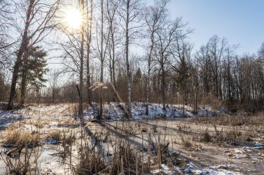 Bahar güneşli manzarası. Nehir ya da bataklık arazisi ve kıyıdaki kuru çimlerle eritilmiş..