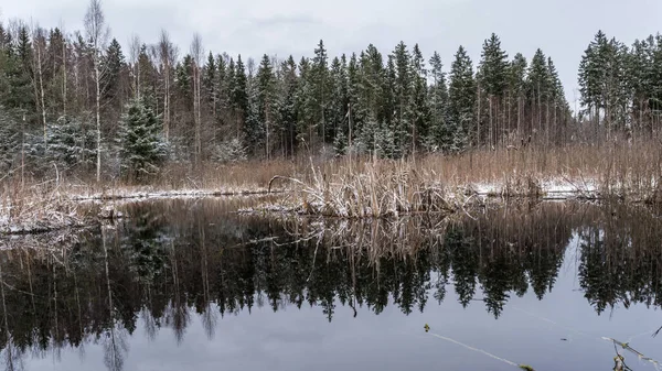 Calm surface of the forest lake against the background of the forest after the first autumn snowfall, panorama, autumn landscape on a cloudy day