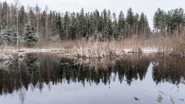 İlk Karlı Donmuş Orman Gölü, Bulutlu bir günde kış manzarası