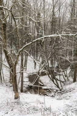 Karlı bir ormanın içinden akan bir dere, kış manzarası