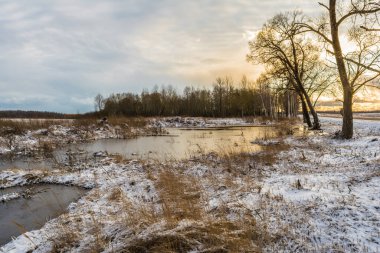 Ağaçların arkasındaki turuncu güneş, göletli tarlalar ve karla kaplı uzun otlar. Mavi gökyüzü ve bulutlarla kışın güzel gün batımı. Vahşi doğa manzarası.