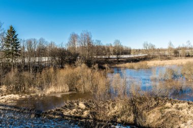 İlkbahar ormanlarının ilk zamanlarında su yüzeyinde yansıma ağaçları ve mavi gökyüzü olan güzel bir göl. Doğa manzarası arka planı