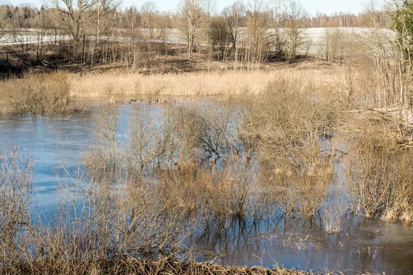 Paisaje Primaveral Lago Forestal Principios Primavera Con Árboles Alrededor Reflejándose — Foto de Stock