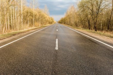 Yağmurdan sonra düz ıslak asfalt yol. Kenar çizgilerinde yaprakları olmayan ağaçlar ve çalılar var. İlkbaharın başlarında dramatik bulutlu gökyüzü.