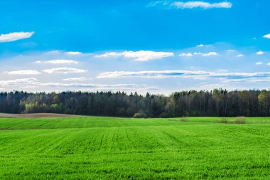 Yeşil alan, ufukta orman ve mavi gökyüzünde beyaz bulutlar, doğa manzarası.