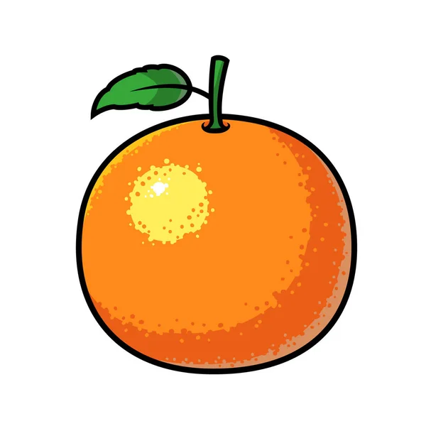 オレンジフルーツベクトルイラスト — ストックベクタ