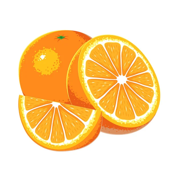 Ilustrasi Vektor Buah Oranye - Stok Vektor