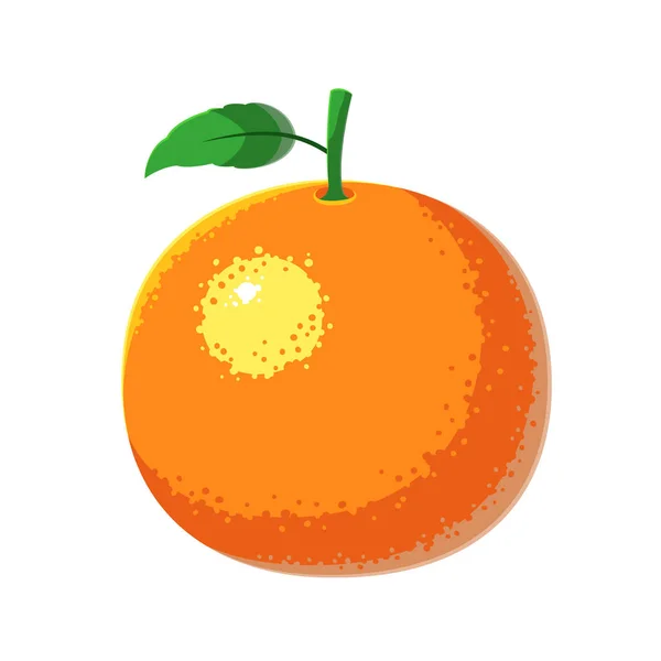 オレンジフルーツベクトルイラスト — ストックベクタ