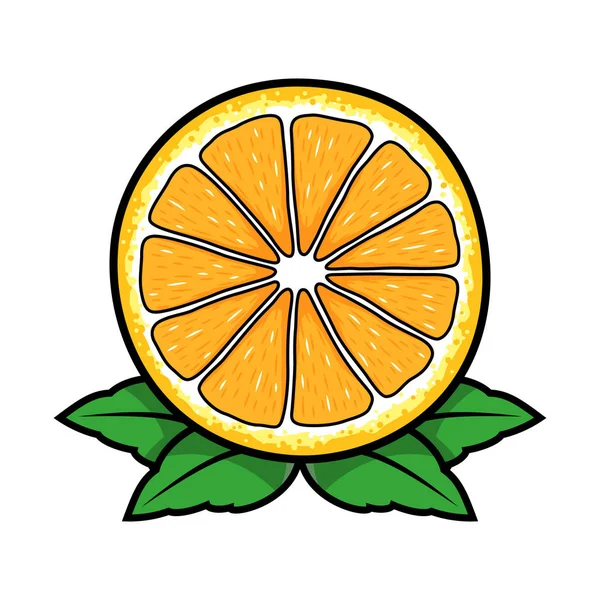Vecteur Tranches Fruits Orange — Image vectorielle