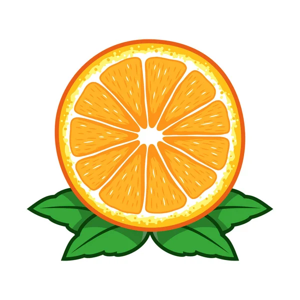Vecteur Tranches Fruits Orange — Image vectorielle