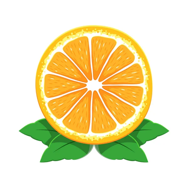 Vecteur Tranches Fruits Orange — Image vectorielle