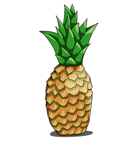 Beyaz zemin üzerinde izole ananas — Stok Vektör