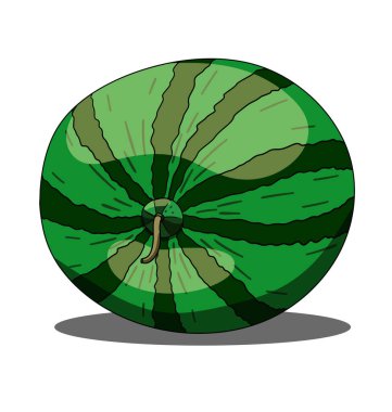 beyaz arkaplanda izole edilmiş karpuz