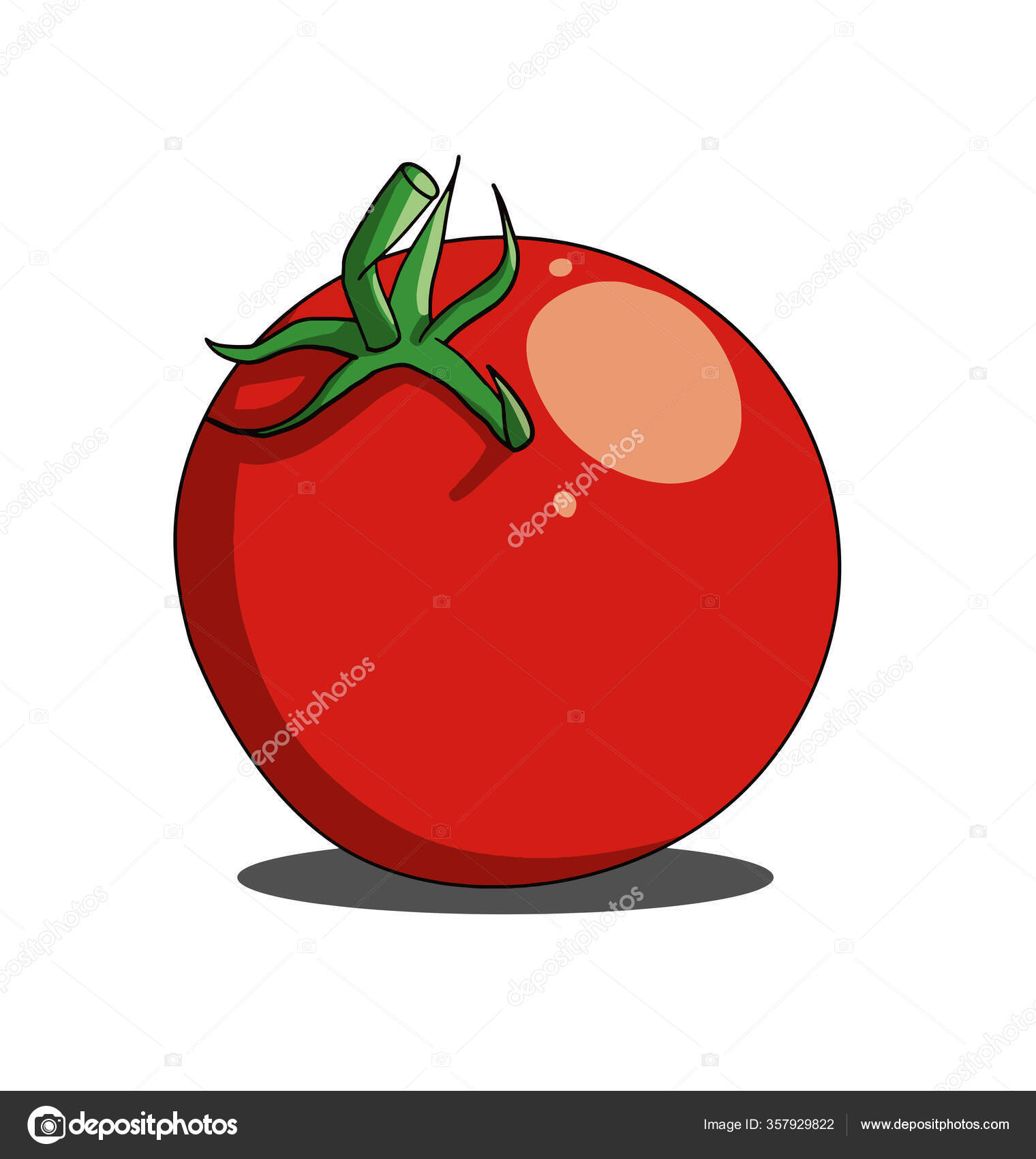 Red single tomato isolated on white background Stock Vector Image by  ©perfectionist1 #357929822
