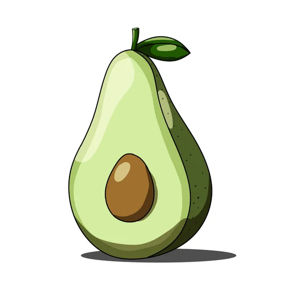 Aguacate verde aislado sobre fondo blanco — Vector de stock