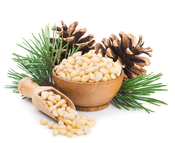 Pine nuts with branches and cones isolated on white