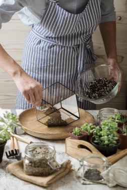 Hikaye succulents florarium dikim parlak renkler