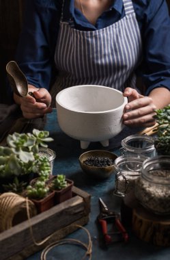 Succulents mini Bahçe yapımı adım adım