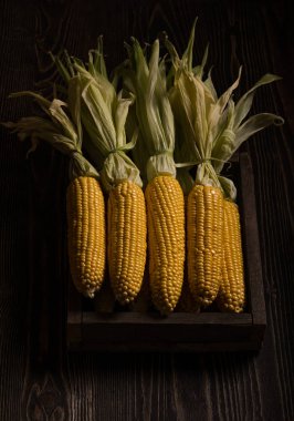 Taze mısır koçanı üzerinde karanlık kaba ahşap kutu
