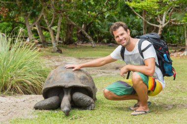 Aldabra dev kaplumbağa Curieuse Adası, Seyşeller'besleme turizm.
