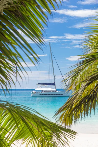 Catamarán velero visto valle palmera hojas en la playa, Seychelles . — Foto de Stock