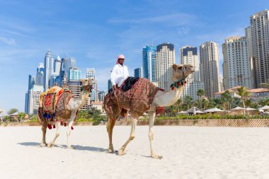 Jumeirah Beach, Dubai, Birleşik Arap Emirlikleri deveye binmek sunan adam.