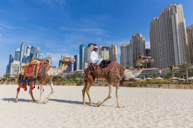 Jumeirah Beach, Dubai, Birleşik Arap Emirlikleri deveye binmek sunan adam.