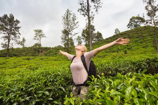 Kadın turist çay tarlaları, Sri Lanka, güzel doğanın keyfini. — Stok fotoğraf