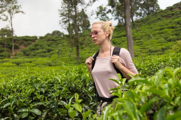 女游客享受美丽的大自然的茶叶种植园，斯里兰卡. — 图库照片