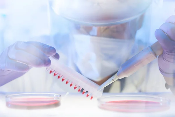 Working in the laboratory with a high degree of protection — Stock Photo, Image