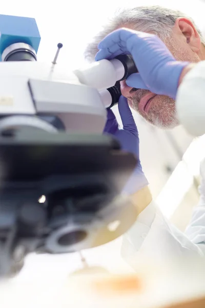 Senior scientist  microscoping in lab. — Stock Photo, Image