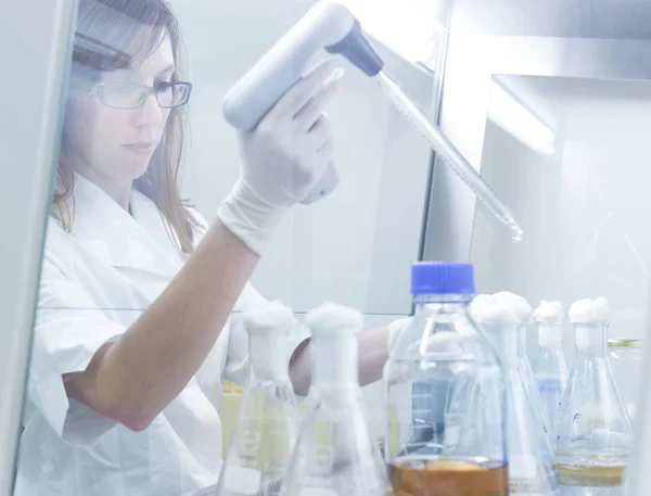 Life scientist researching in the laboratory. — Stock Photo, Image